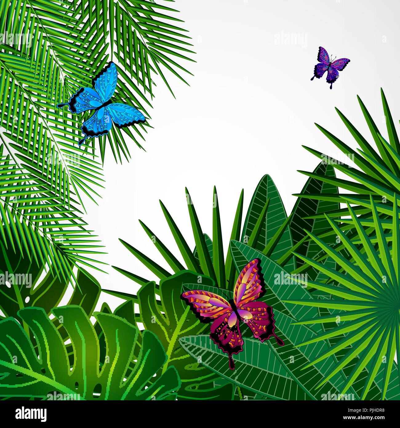 Tropical leaves with butterflies. Floral design background. Stock Vector