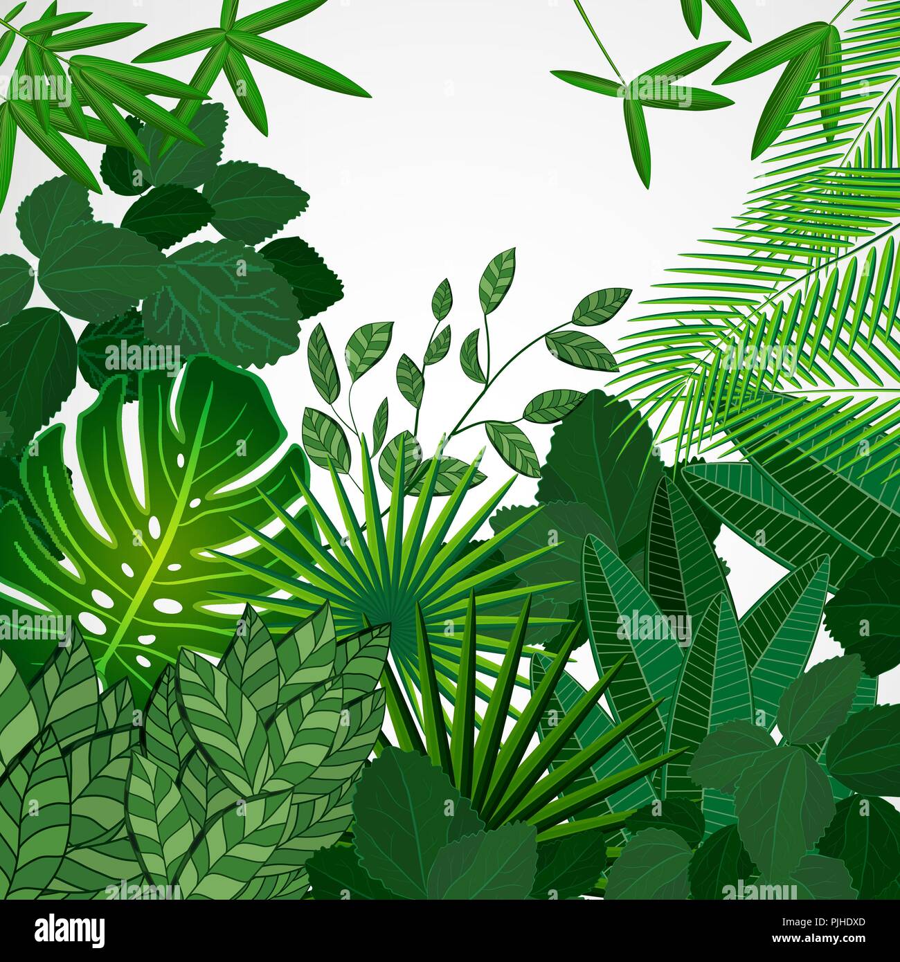 Jungle leaves border hi-res stock photography and images - Alamy