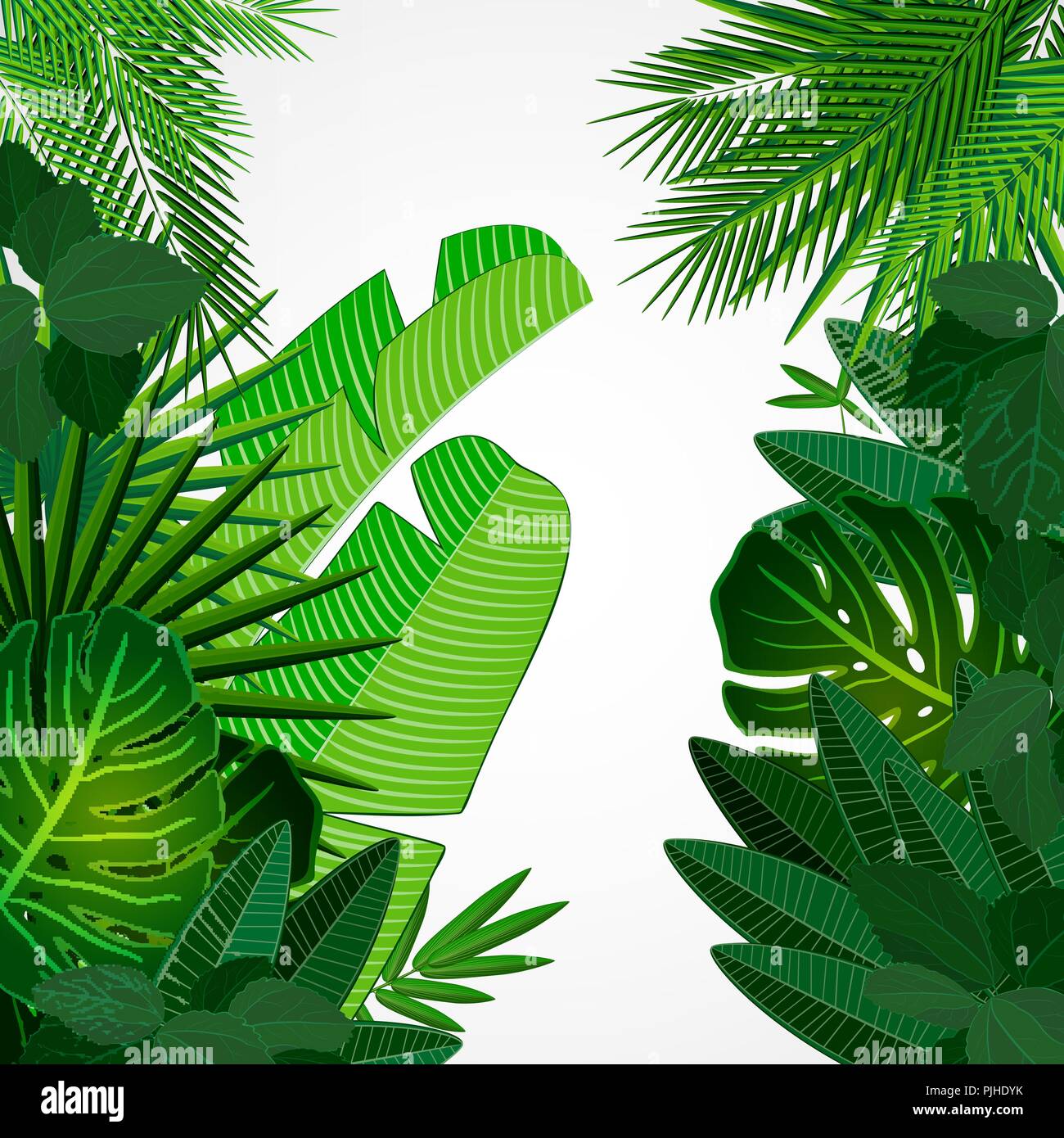 Tropical leaves border on isolate background. Vector illustration. Eps
