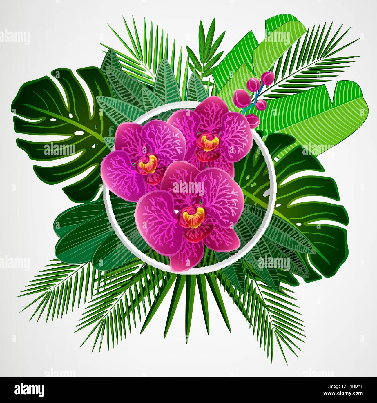 Tropical leaves border on isolate background. Vector illustration. Eps 10. Stock Vector