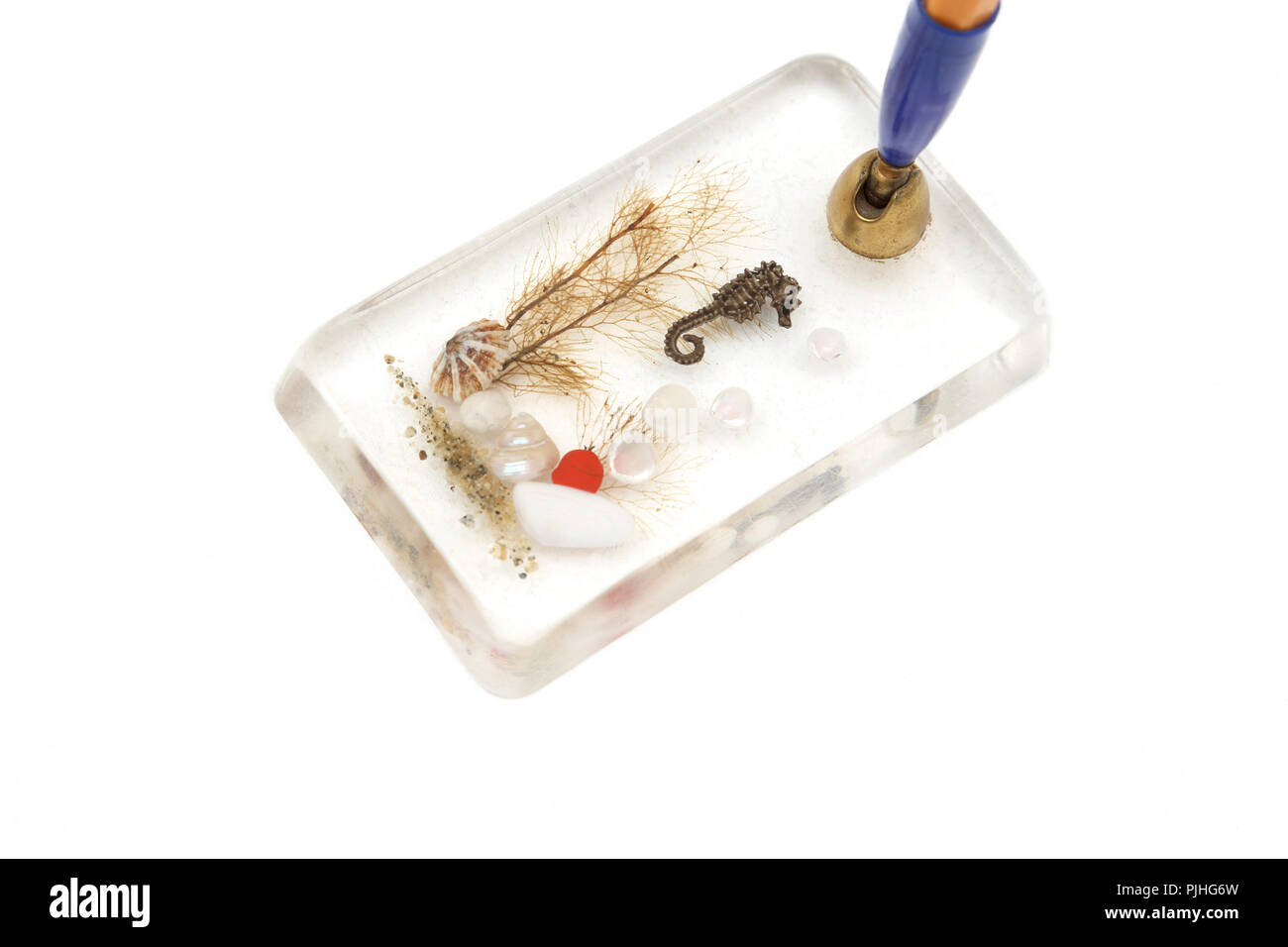 Pen Holder with Sea Horse and Shells inside Stock Photo