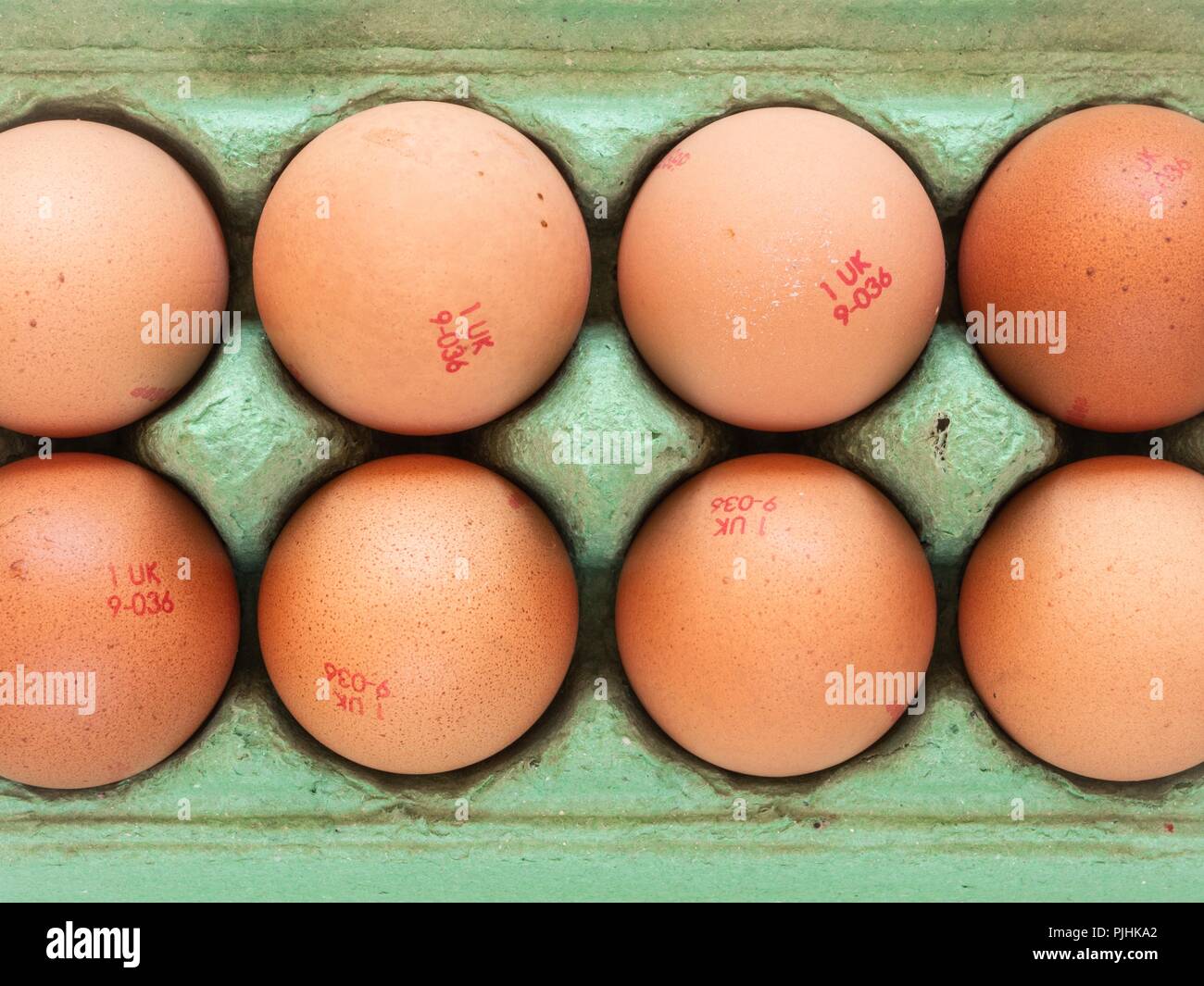 Looking down onto a green egg carton filled with eight hens' eggs Stock Photo