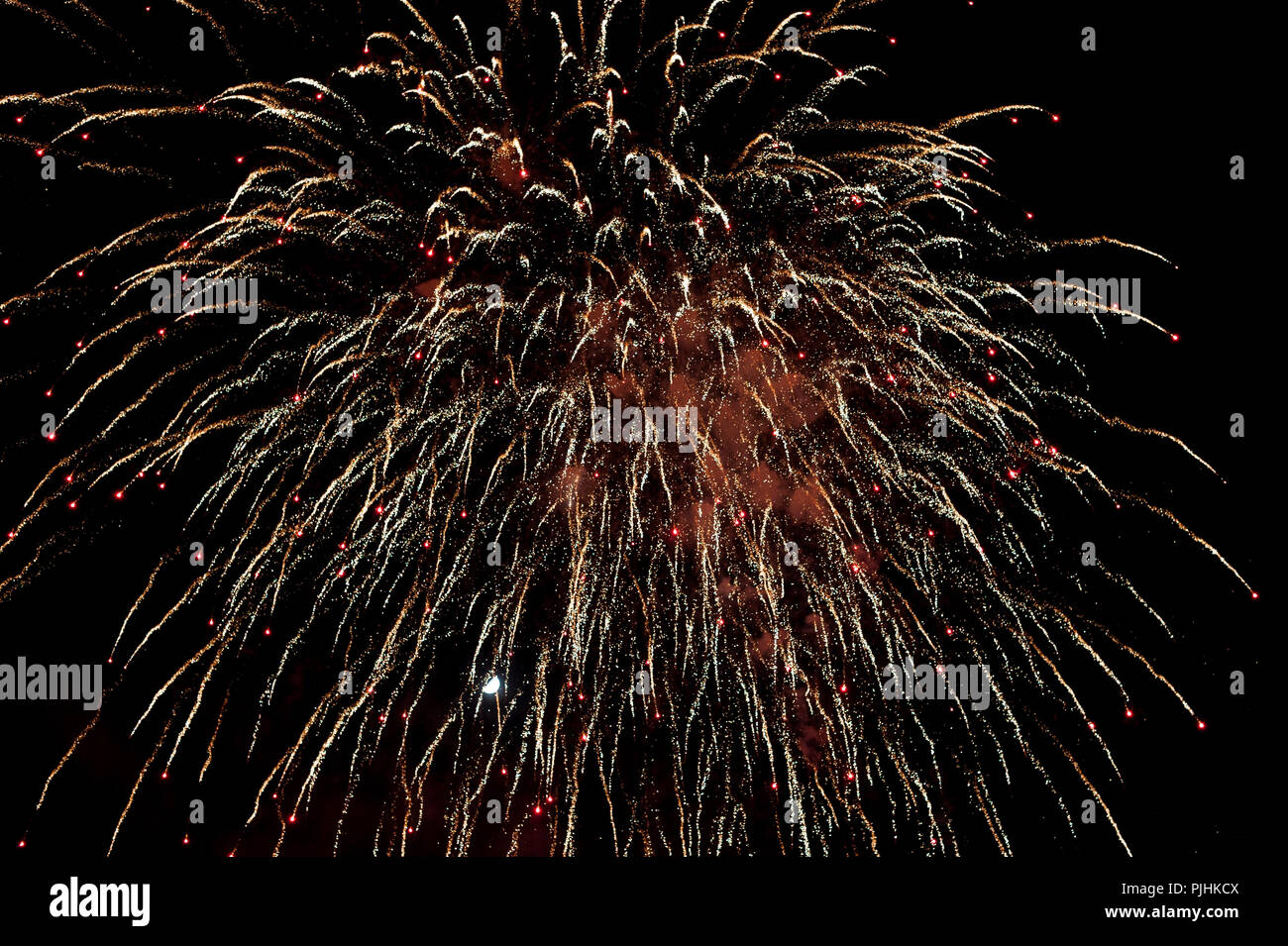 A colourful firework explodes in the dark night sky. Stock Photo