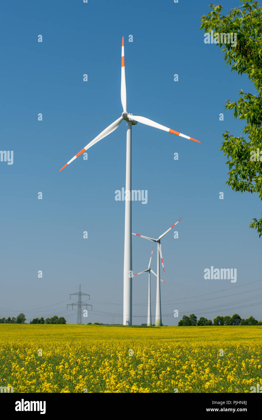 Wind wheels in a rapeseed field seen in Germany Stock Photo Alamy