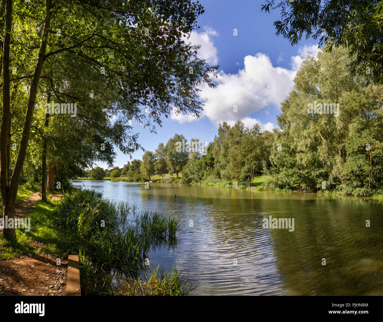 high-woods-country-park-colchester-essex-stock-photo-alamy