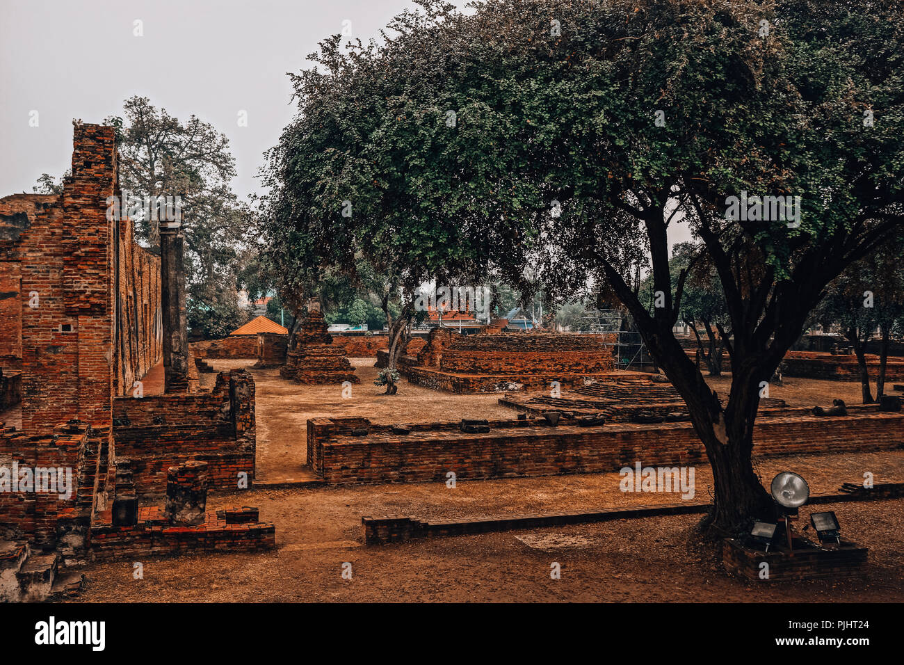 The Lost Kingdom of Ayutthaya Stock Photo