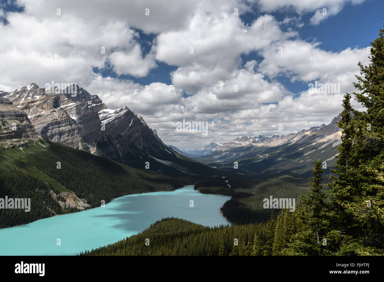Rocky mountains and Peyto Lake in Banff National Park Stock Photo - Alamy
