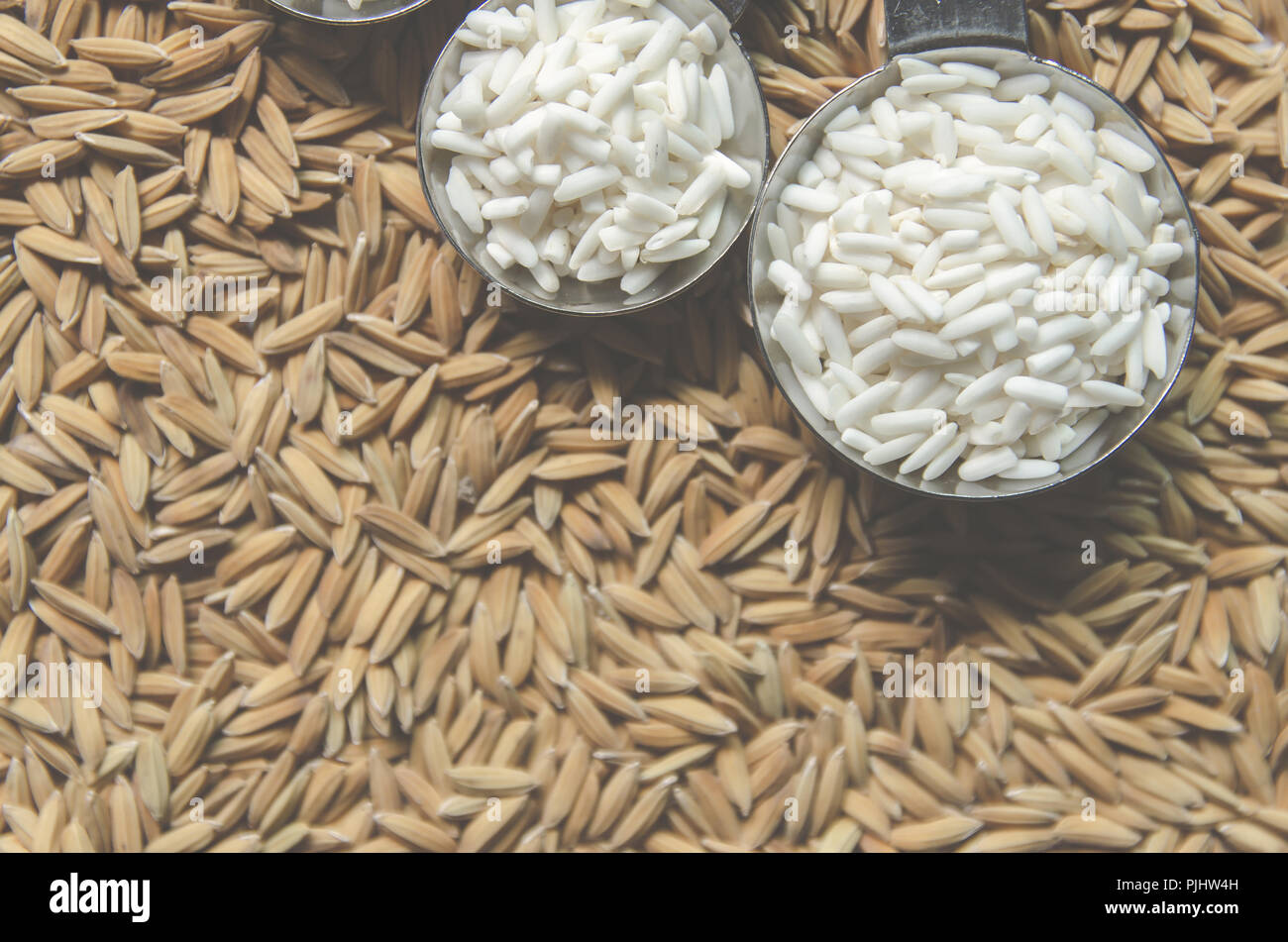Top view of paddy rice and rice seed on the floor, Background and ...