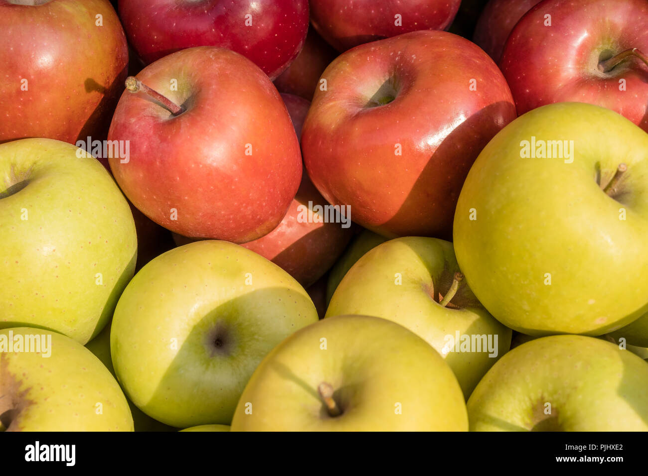 Golden Delicious and Gala apples Stock Photo Alamy