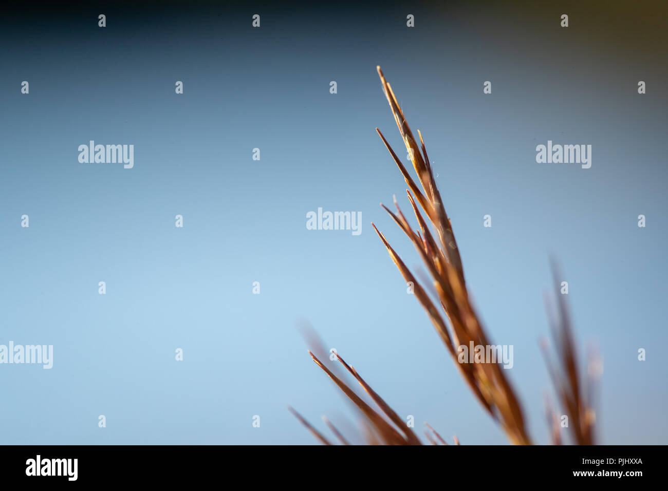 Bending the blade hi-res stock photography and images - Alamy