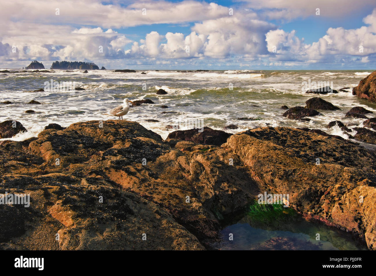 Morning low tide at Washington's Rialto Beach with offshore James