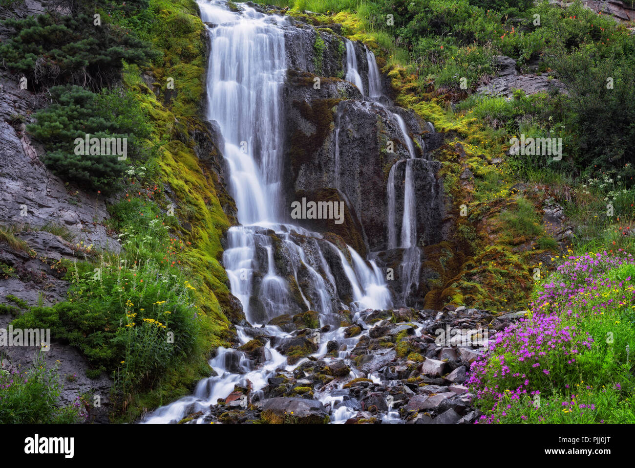 Summer wildflowers bloom by Vidae Falls in Oregon’s Crater Lake National Park. Stock Photo