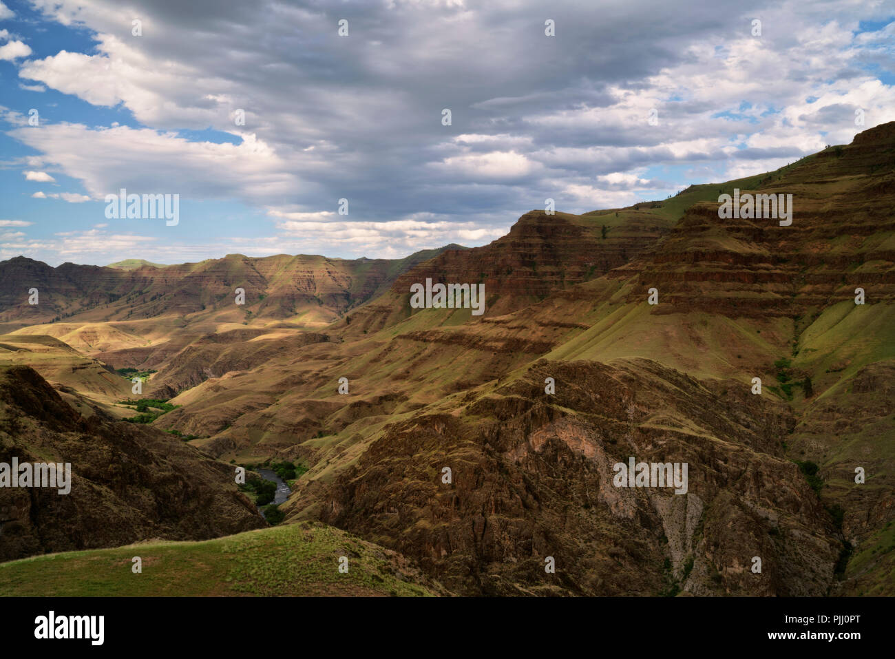 Oregon snake hires stock photography and images Alamy