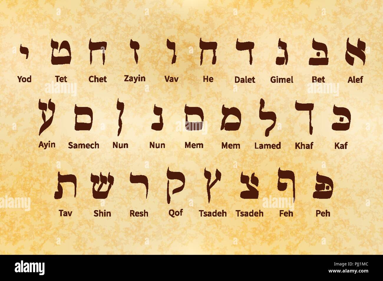 Ancient alphabet symbols of Hebrew language on old parchment Stock Vector