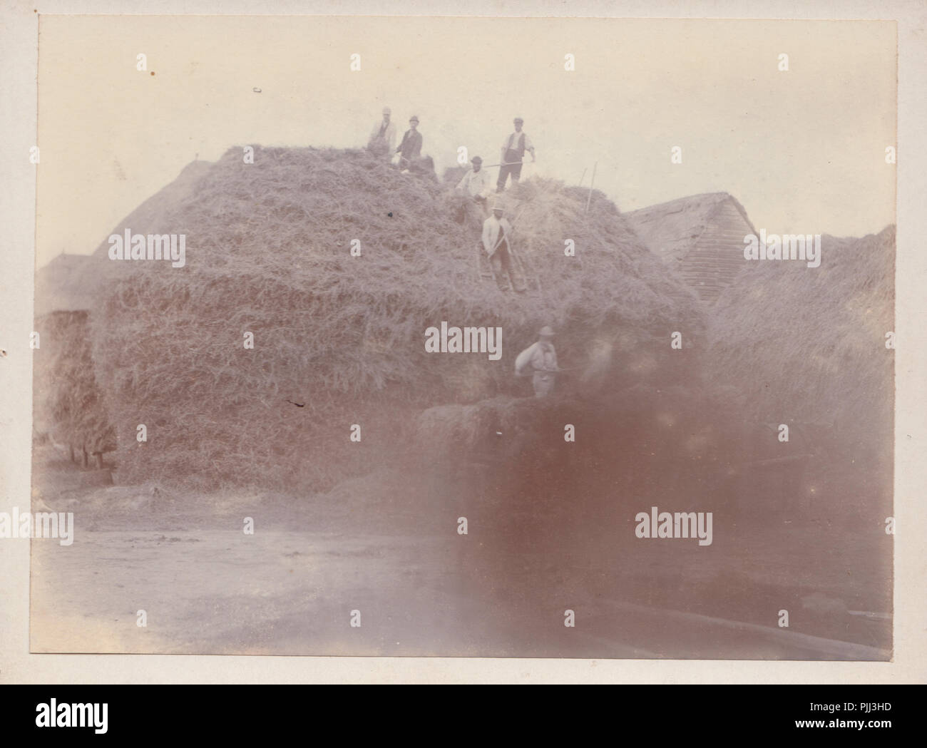 Victorian Cabinet Card of a Farming Scene. Men Working on a Giant Haystack Stock Photo