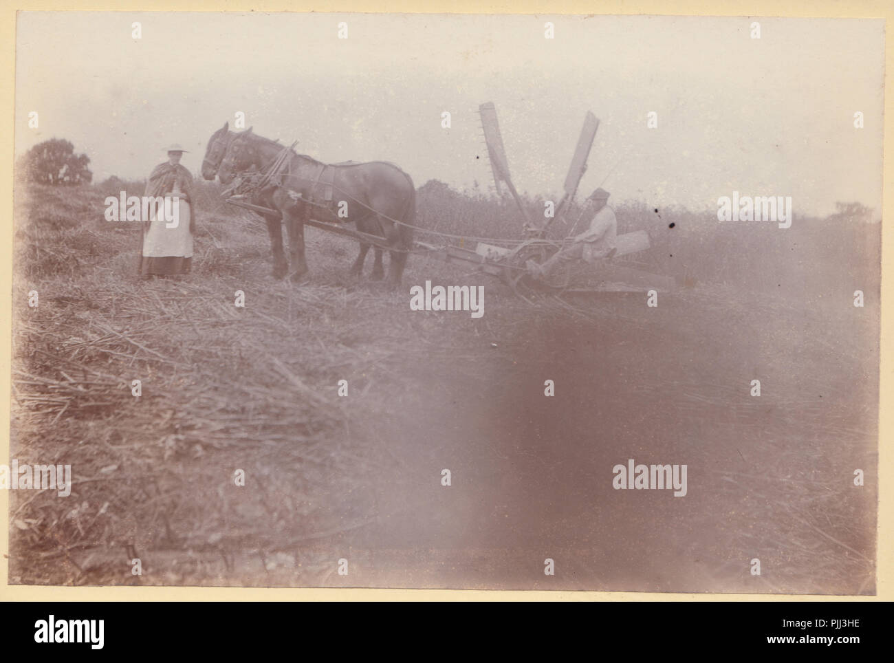 Victorian Cabinet Card of a Farming Scene. A Man Using Horse Pulled Farm Machinery Stock Photo
