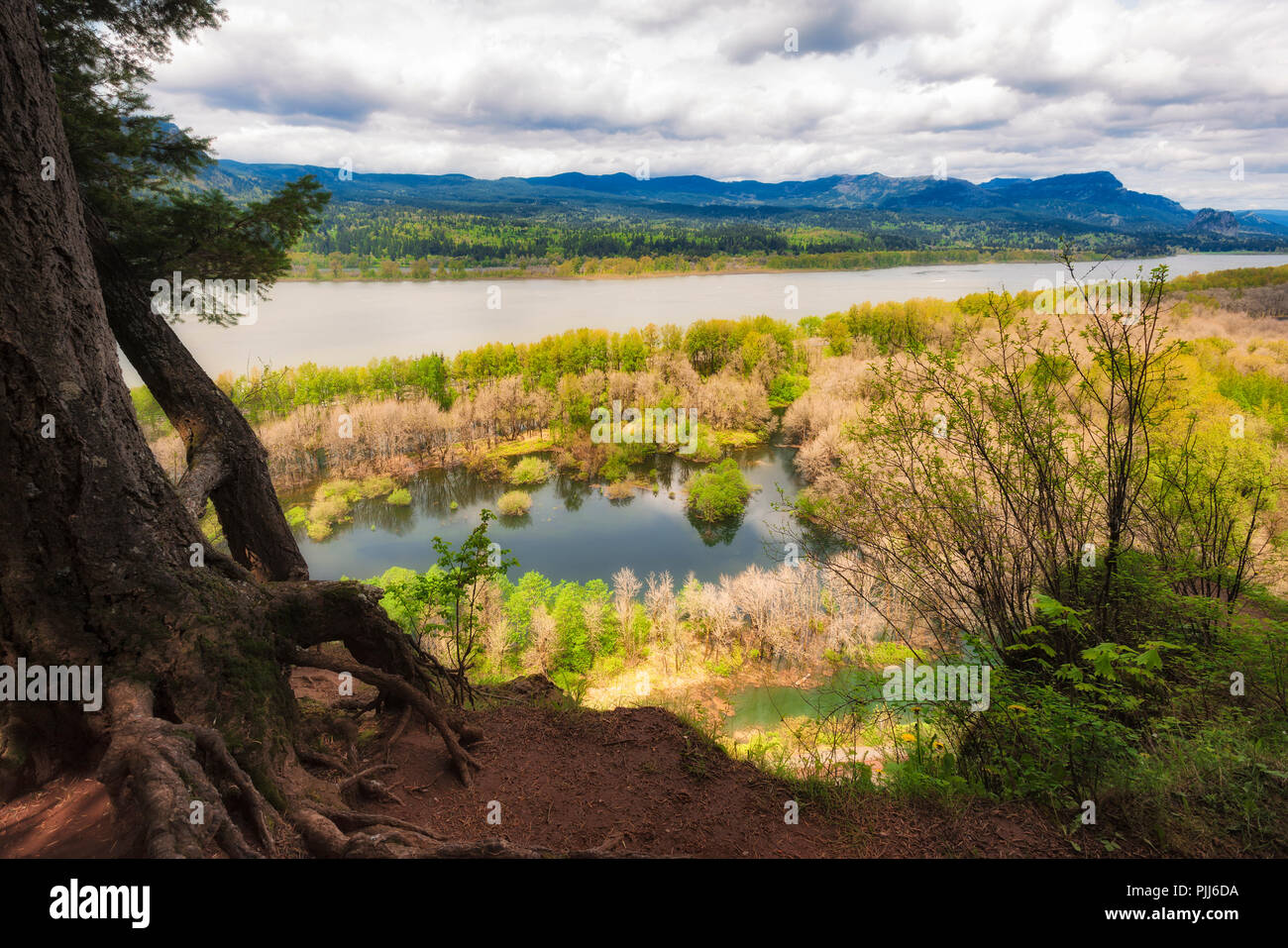 Hiking Ponytail Falls trail overlooking from the bluff a view of the Columbia River and spring flood waters Stock Photo