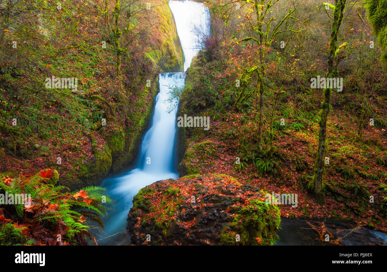 Bridal Veil Falls In The Columbia River Gorge Dressed In Autumn Leaves Stock Photo Alamy Bridal Veil Falls In The Columbia River Gorge Dressed In Autumn Leaves Stock Photo Alamy