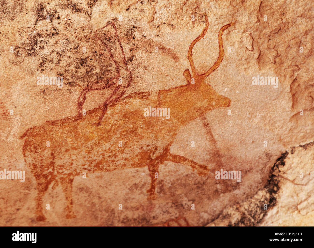 Famous prehistoric rock paintings of Tassili N'Ajjer, Algeria Stock Photo