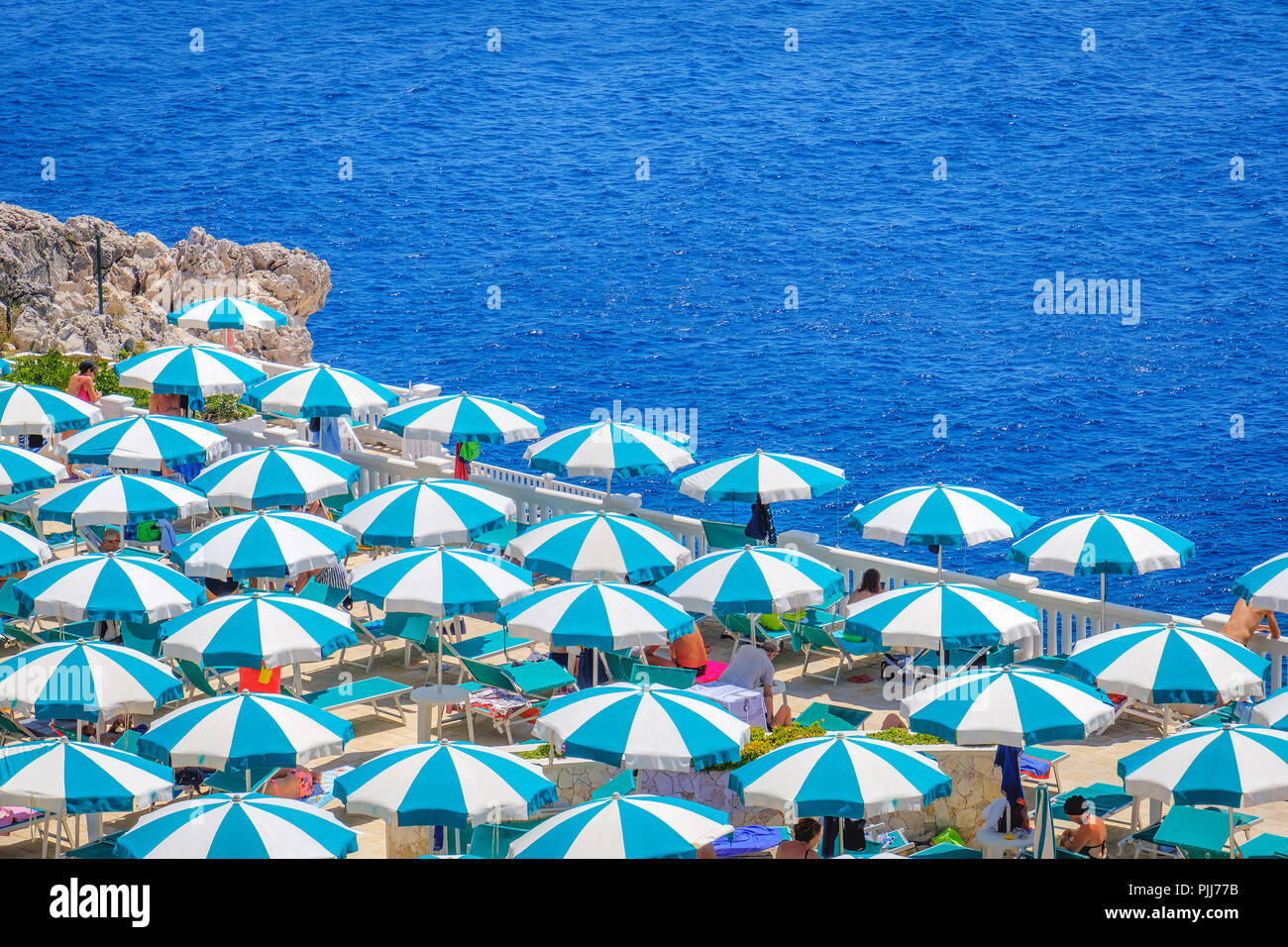 beach umbrellas top view aerial perspective Stock Photo Alamy