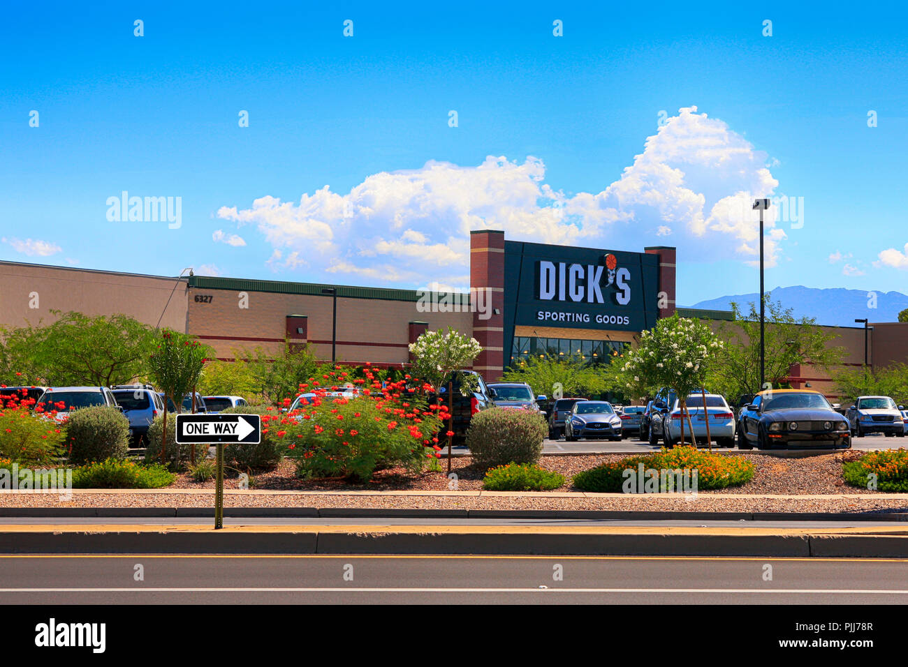 Dick's Sporting Goods store in a strip mall in Tucson AZ Stock Photo
