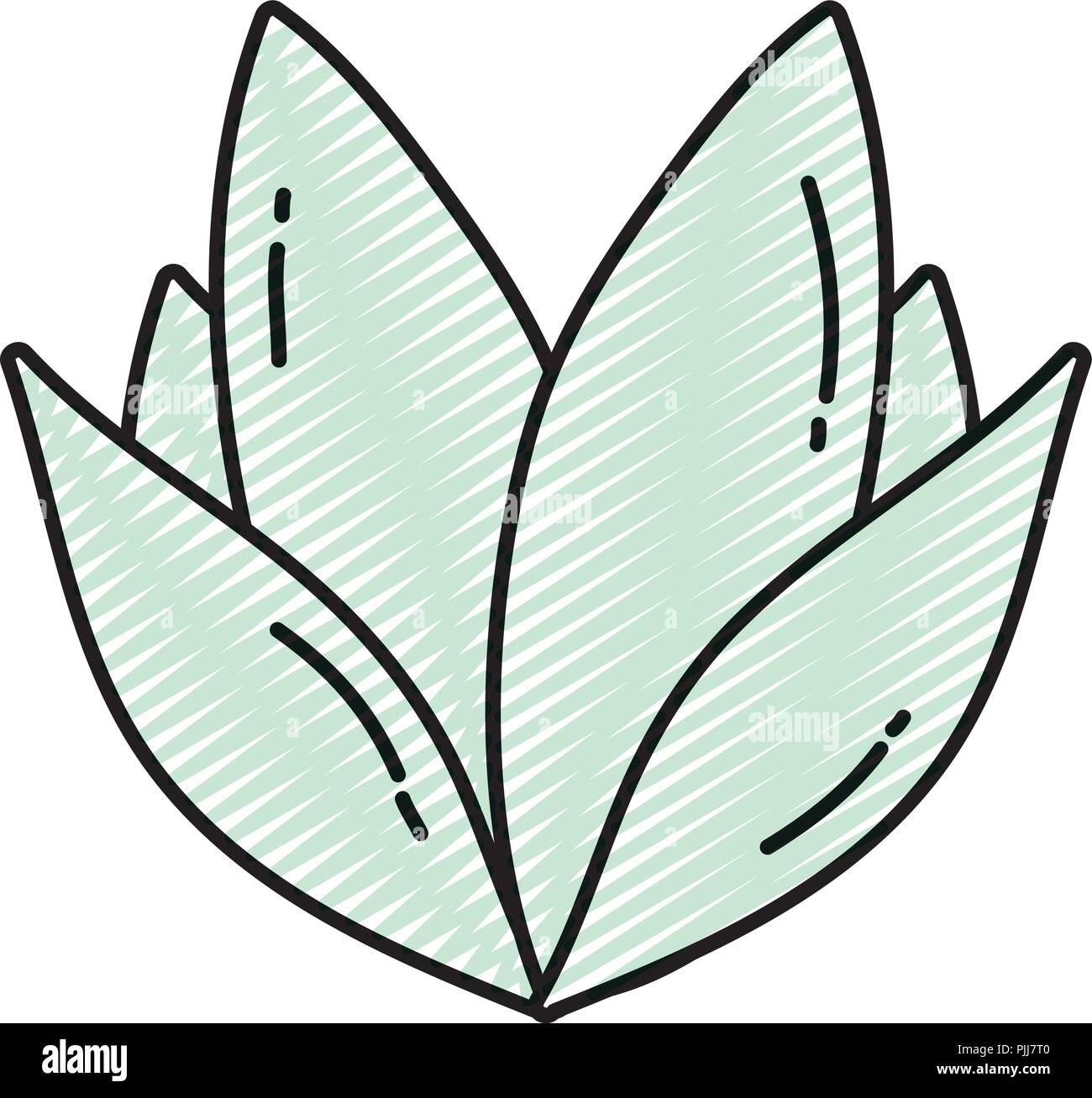 icon natural plant tropical leaves style Stock Vector Image & Art - Alamy