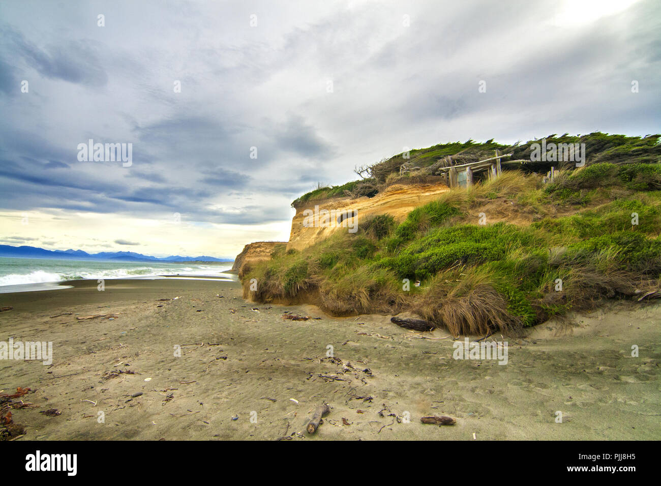Wild Southern Pacific Ocean beach with wind shaped trees, cliff rocks and wooden beach shelter in Catlins, Gemstone beach, near Orepuki in New Zealand Stock Photo