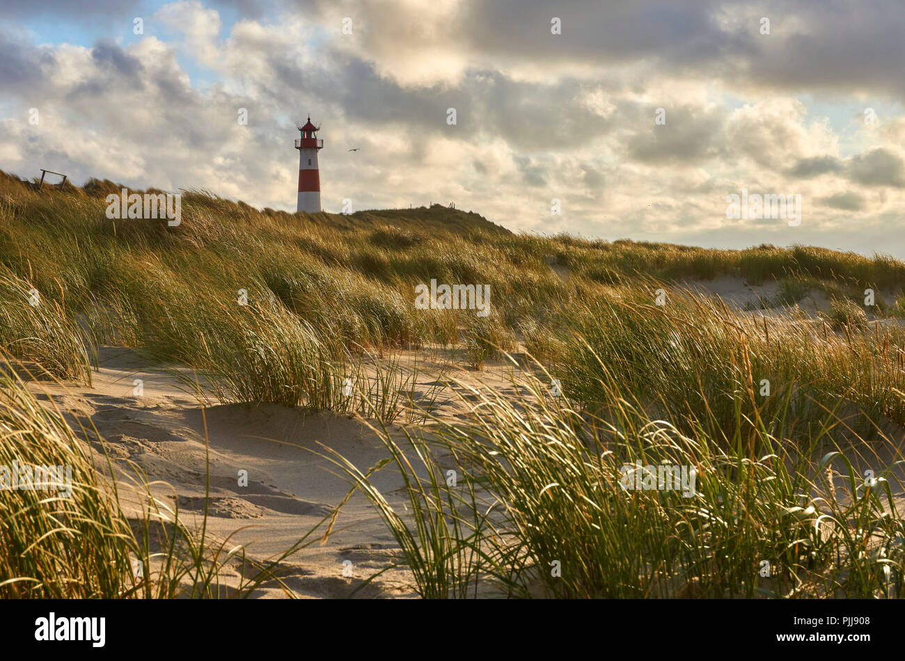 Lighthouse List-Ost on the island Sylt, Germany Stock Photo