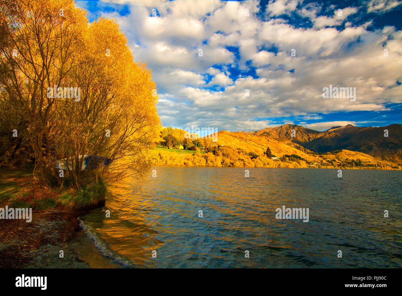 Autumn landscape colourful scenery with trees, lake and golden hills of Central Otago region, Lake Hayes, village Arrowtown, road trip from Queenstown Stock Photo