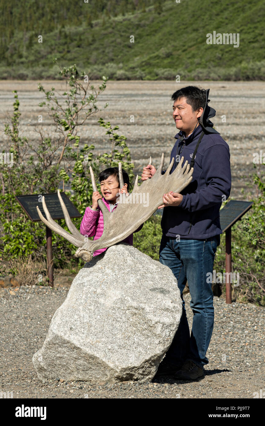 Asian visitors holds up a Moose antler during a stop at the Teklanika River in Denali National Park Alaska. Denali National Park and Preserve encompasses 6 million acres of Alaska’s interior wilderness. Stock Photo