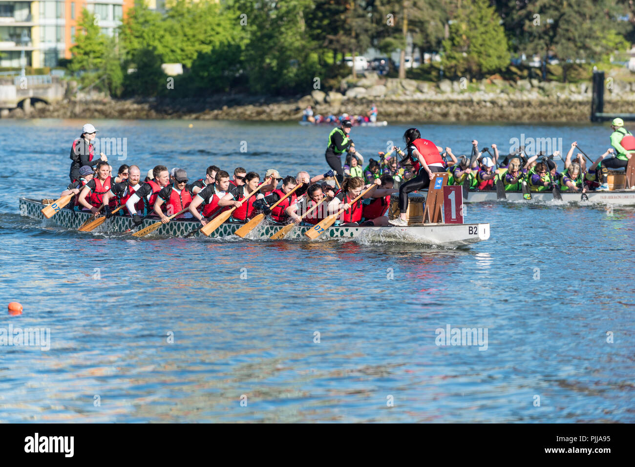 Dragon boats racing along the False Creek waterway, Vancouver, City, BC. Stock Photo