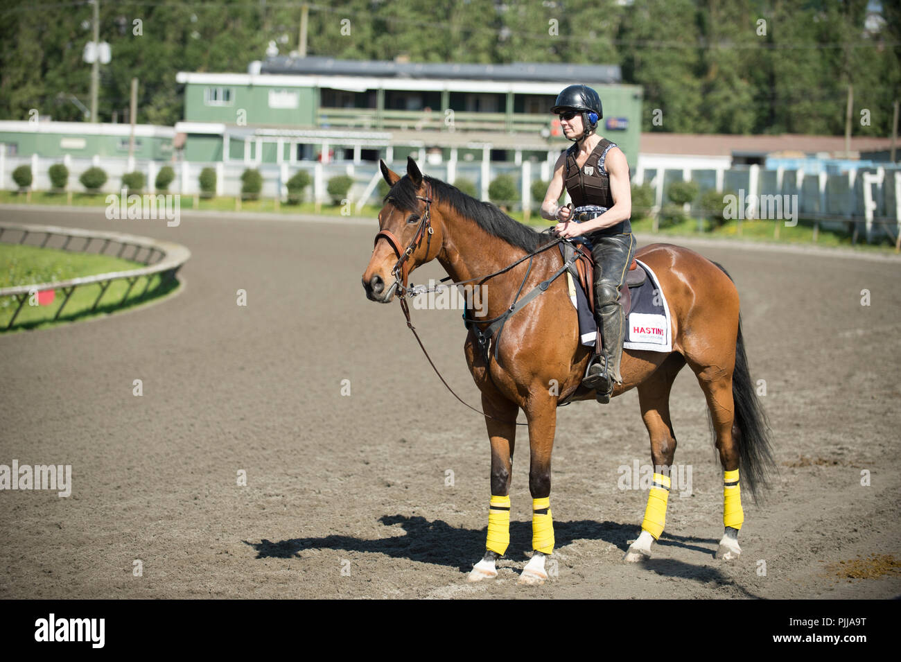 Companion Pony rider at Hastings Park Racetrack, Vancouver. Stock Photo