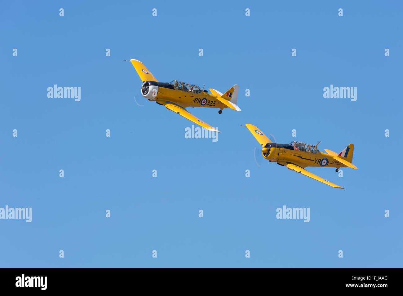 World War II Harvard CF-RFS, in an air display. Stock Photo