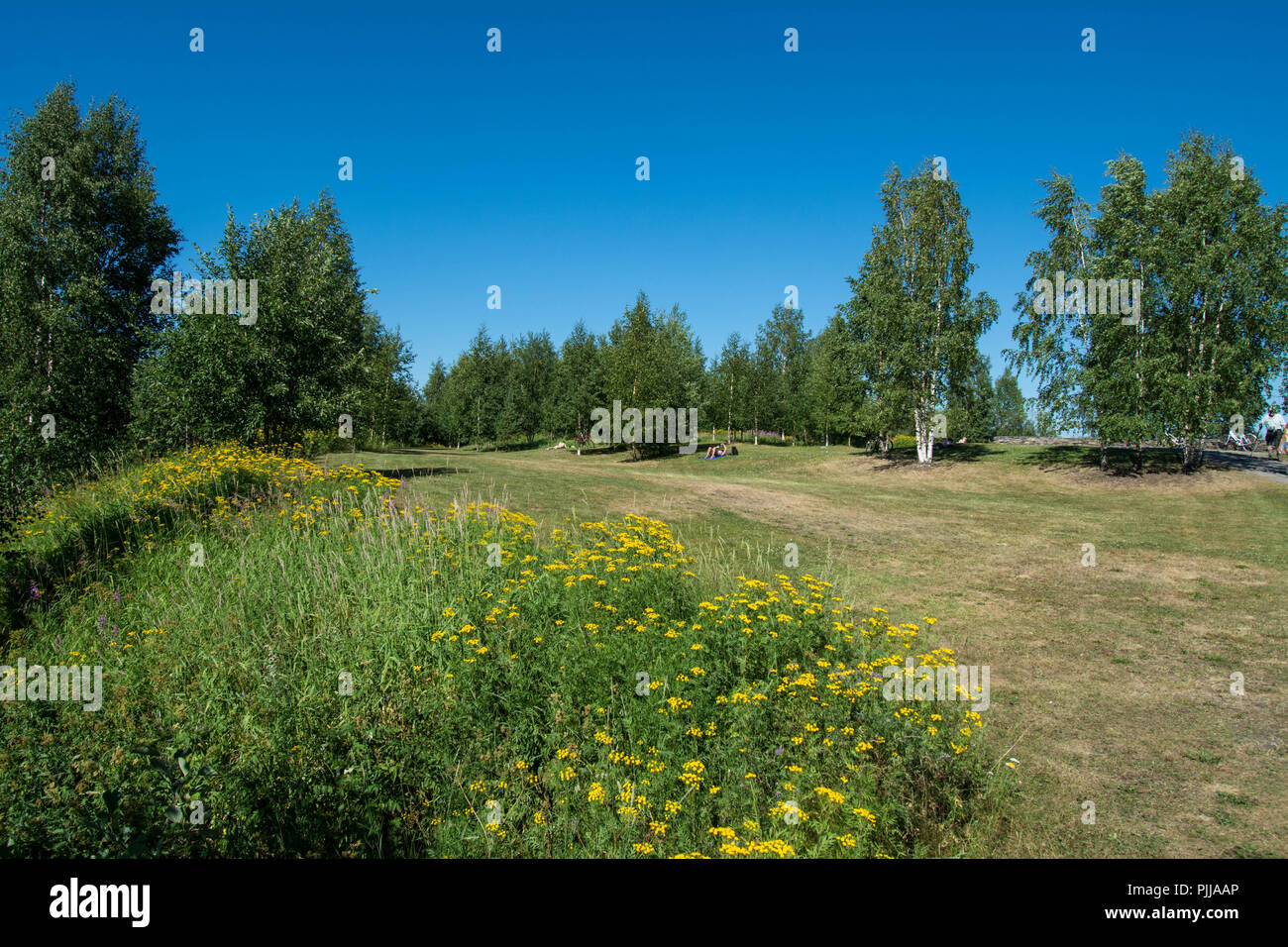 Rovaniemi Finland Lapland Home of Santa Claus Stock Photo Alamy