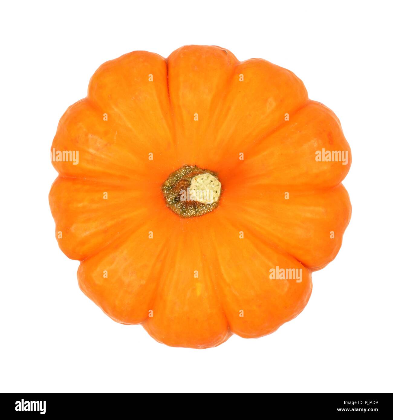 Top view of a single mini pumpkin isolated on a white background Stock Photo