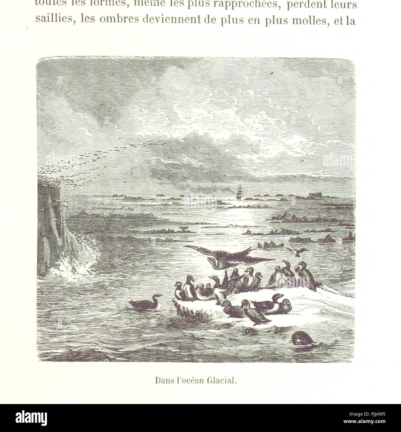 Image  from page 31 of 'L'Expédition du Tegetthoff. Voyage de découvertes aux 80e-83e degrés de latitude nord, traduit de l'allemand . par M. J. Gourdault, et contenant . gravures, etc' . Stock Photo