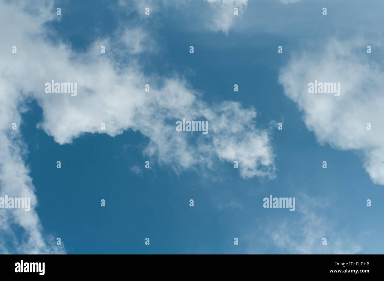 white fluffy clouds float across the blue sky Stock Photo