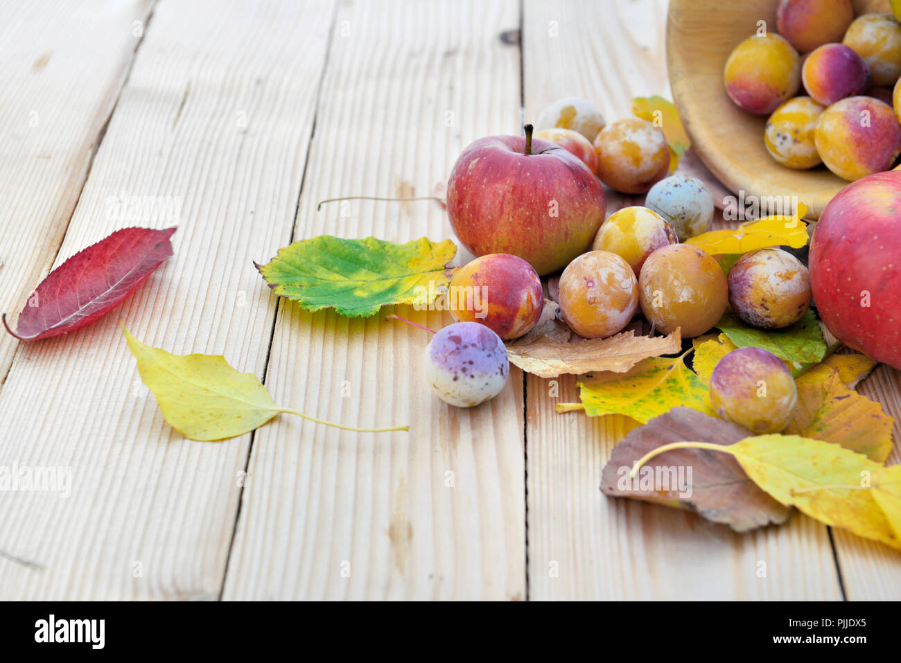 apples and mirabelles in autumnal leaves put on a wooden table Stock Photo
