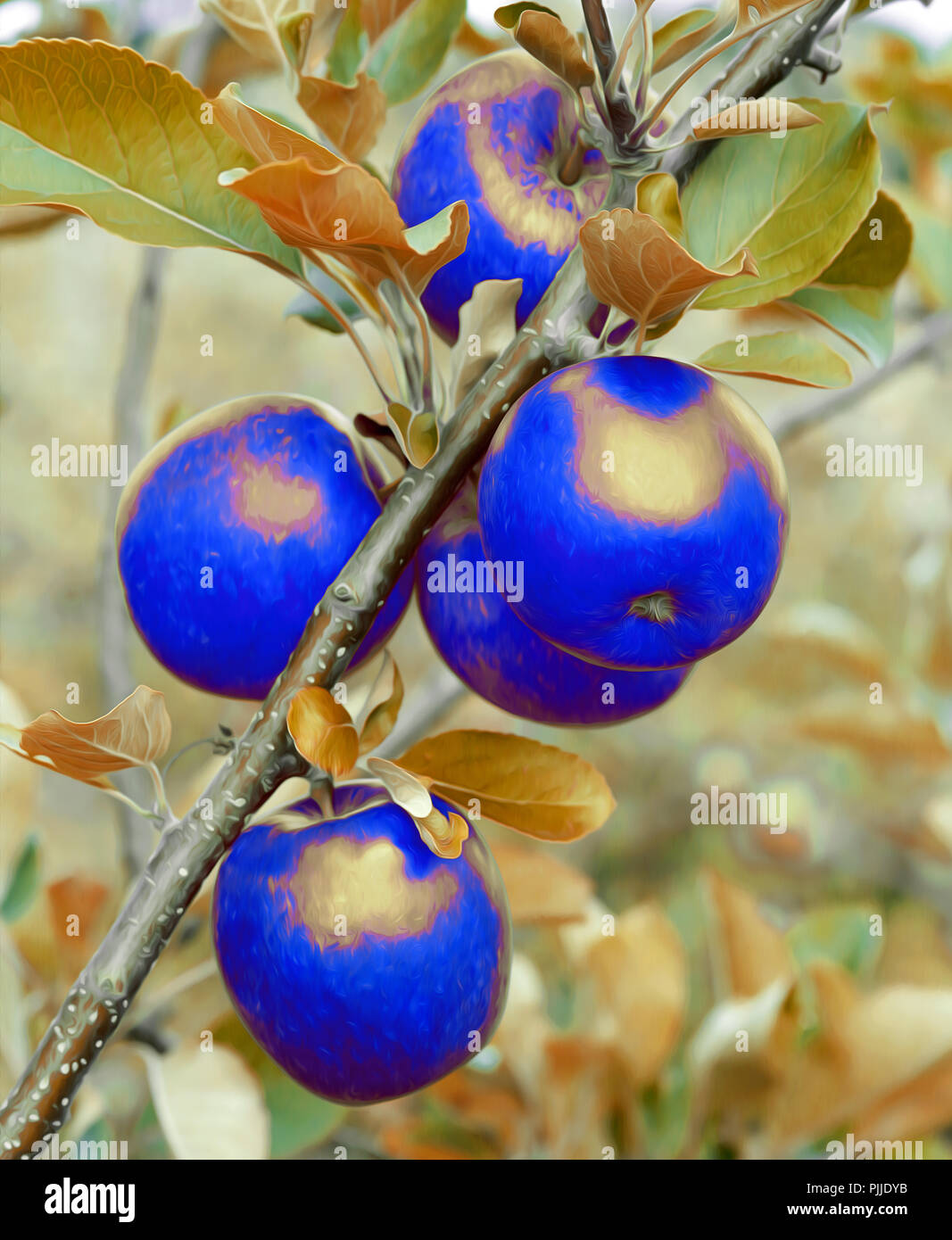 Blue apples hi-res stock photography and images - Alamy