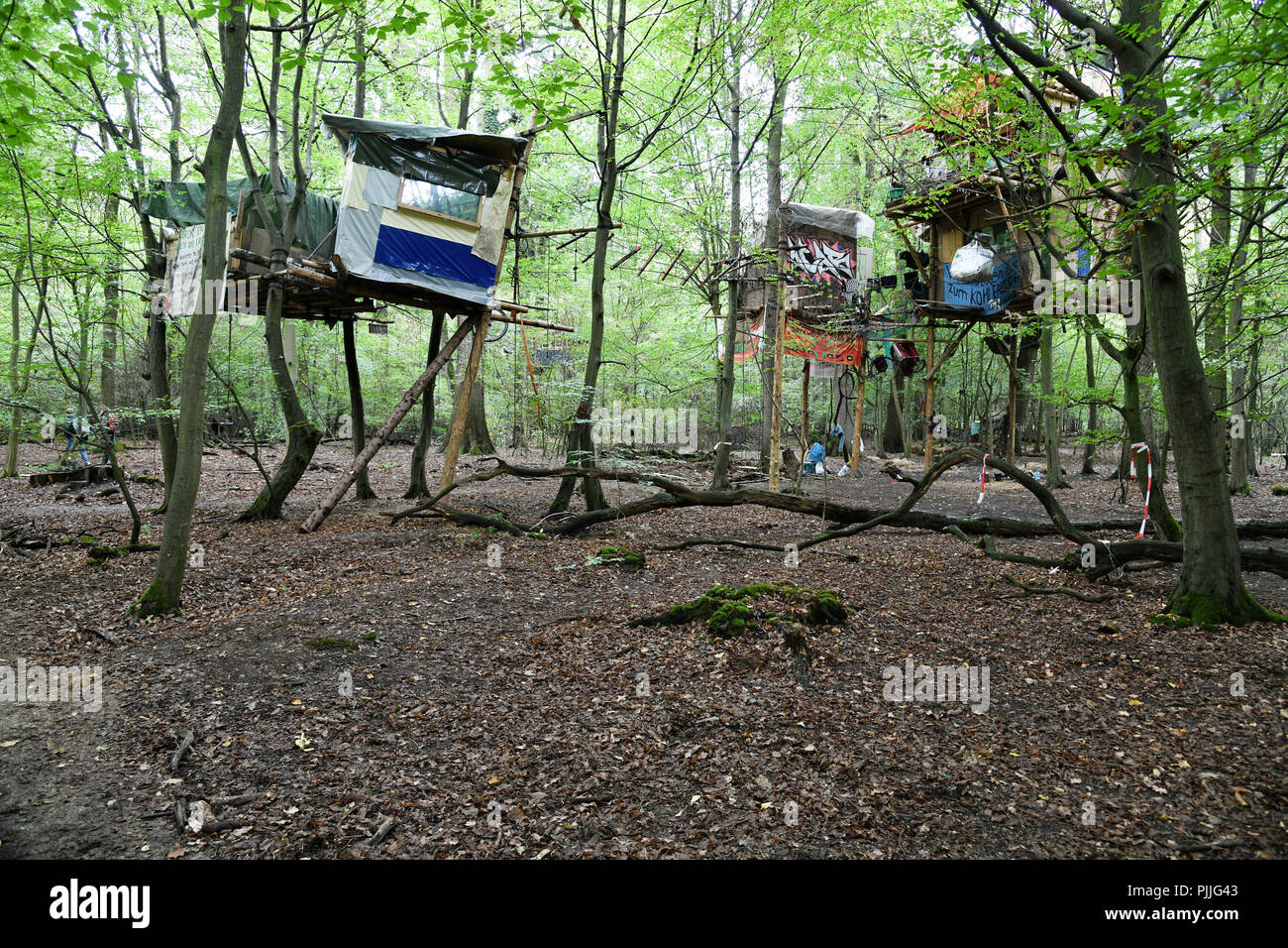 Kerpen Germany 07th Sep 2018 Tree Houses Of Forest Occupiers