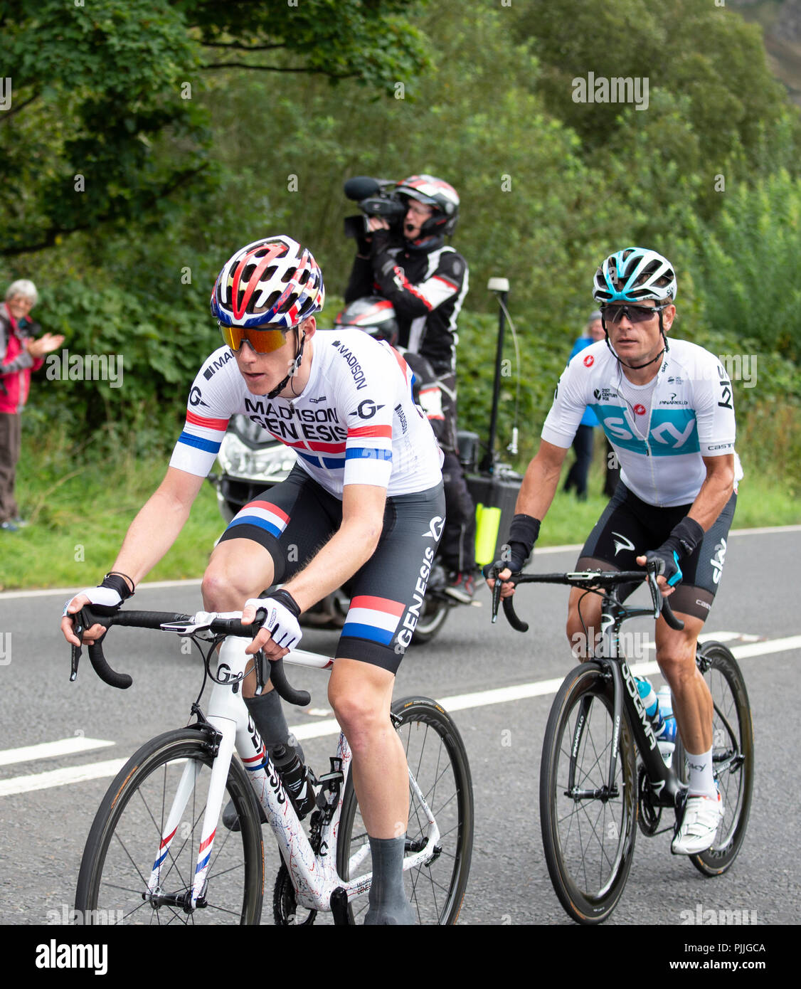 madison genesis team bike