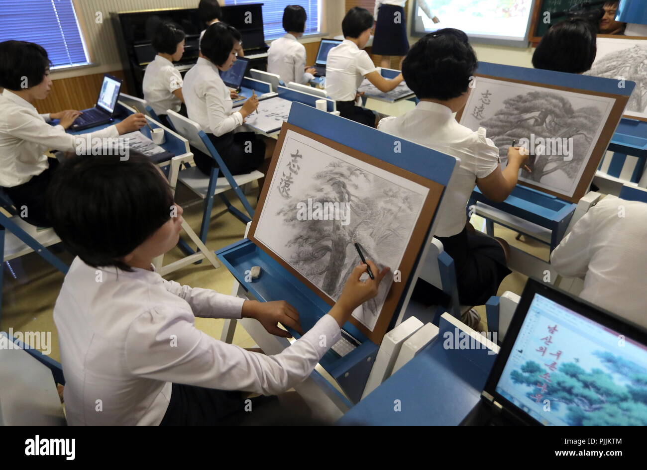 Japanese art class model Telegraph