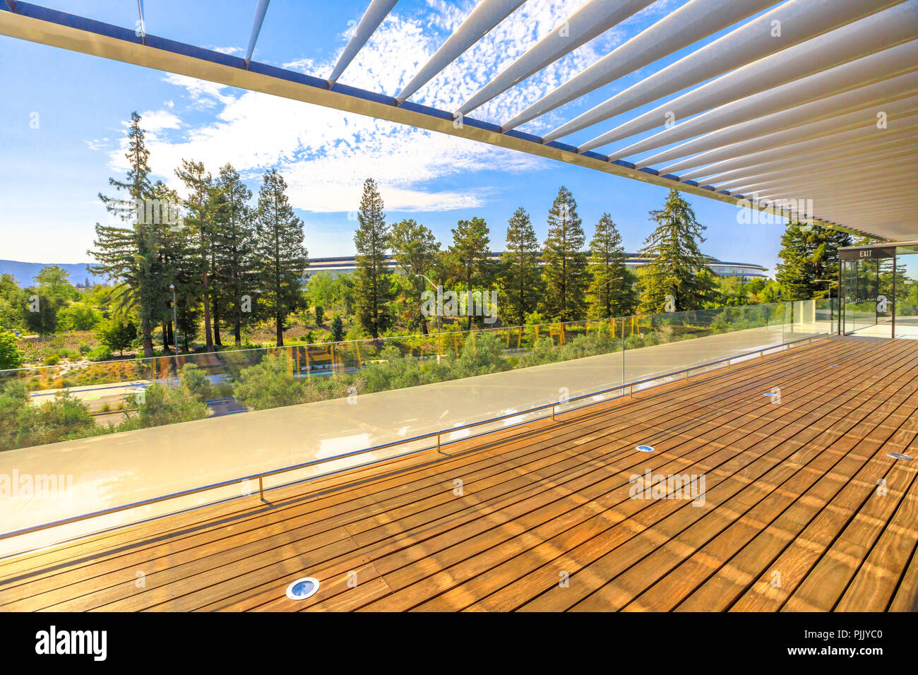 Apple Visitor Center A Glass And Wood Building Surrounded By Olive Trees  Housing Apple Store 3d Model Of The Apple Campus And A Coffee Bar Stock  Photo - Download Image Now - iStock