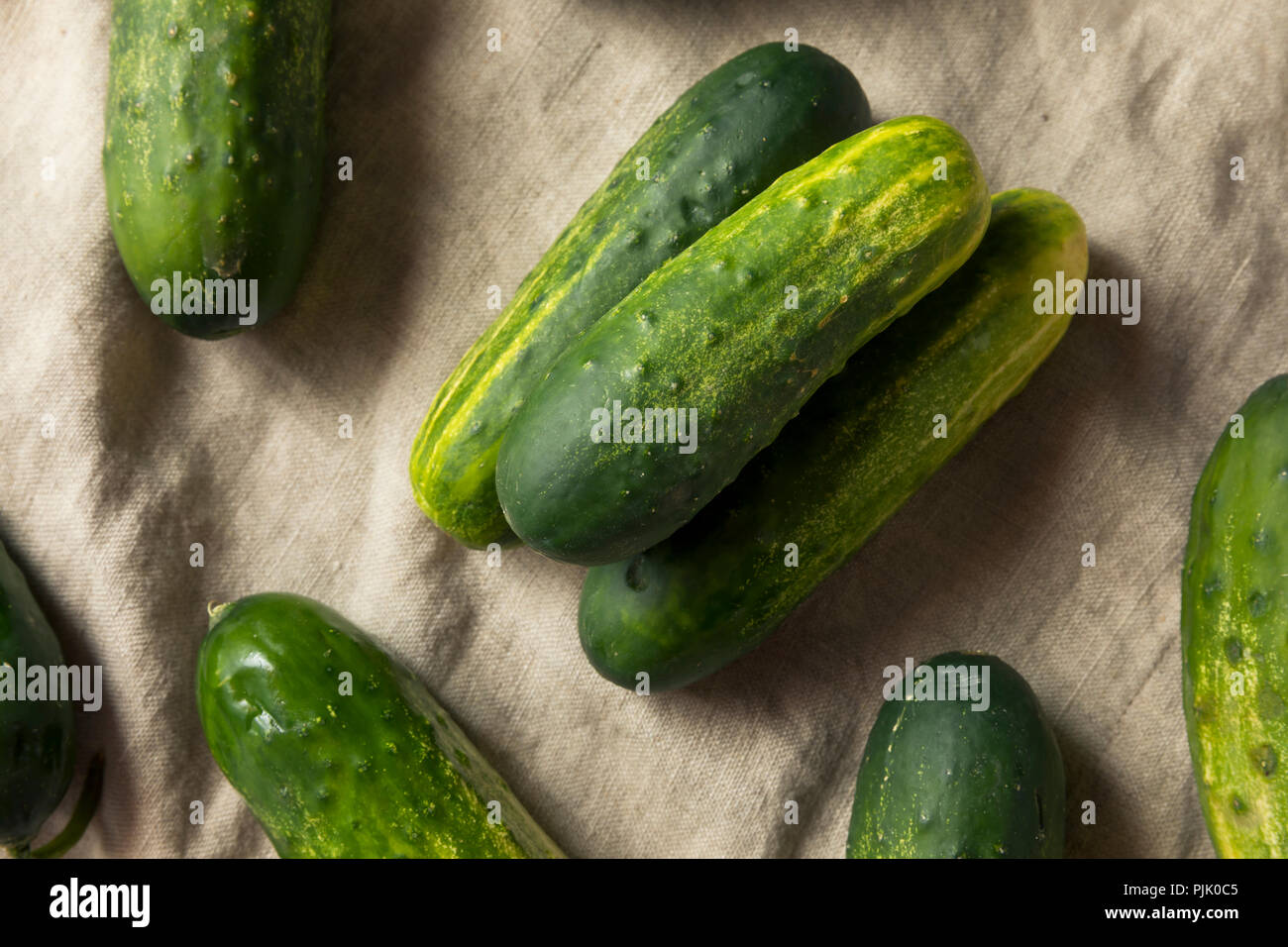 Raw Organic Green Pickling Cucumbers Ready to Eat Stock Photo