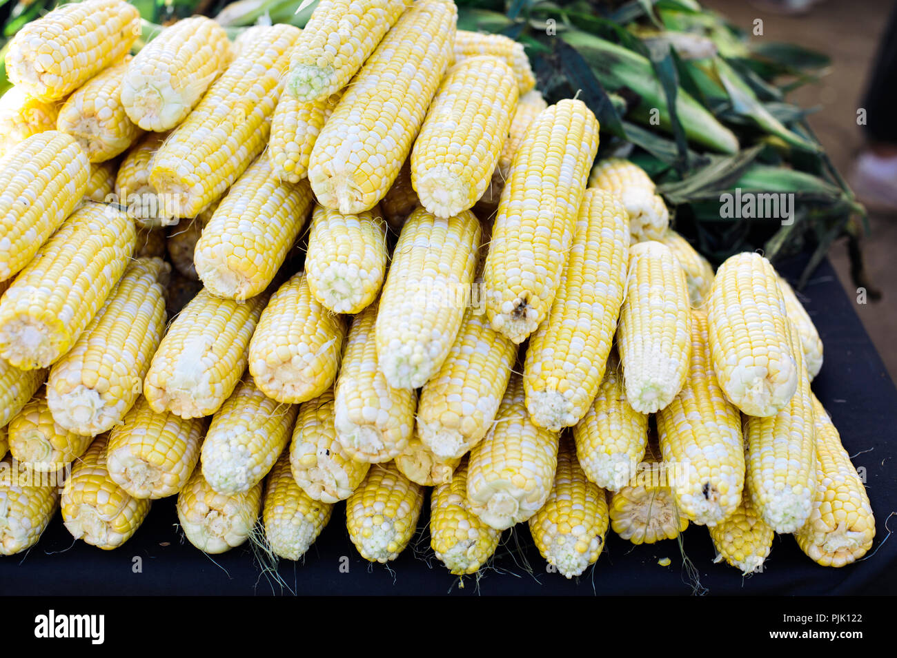 Stacks of colorful and bright yellow corn on the cob at the farmers market Stock Photo