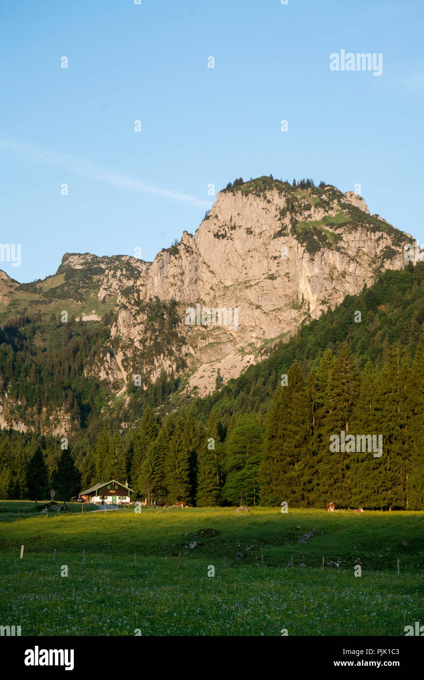 Längental with Alm, near Lenggries, Bavarian Alps, Bavaria, Germany Stock Photo