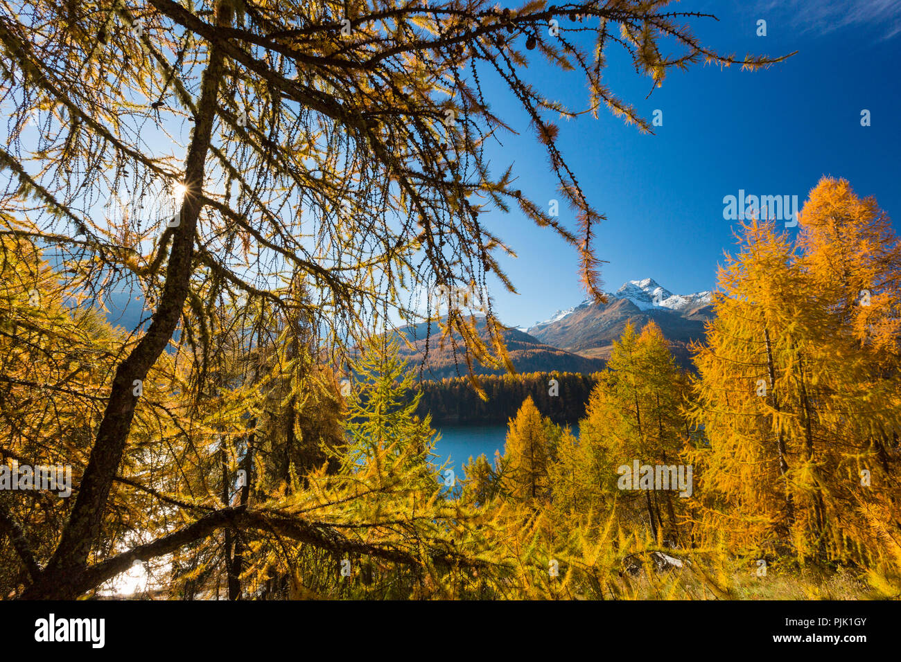 Panorama golden autumn in hi-res stock photography and images - Alamy