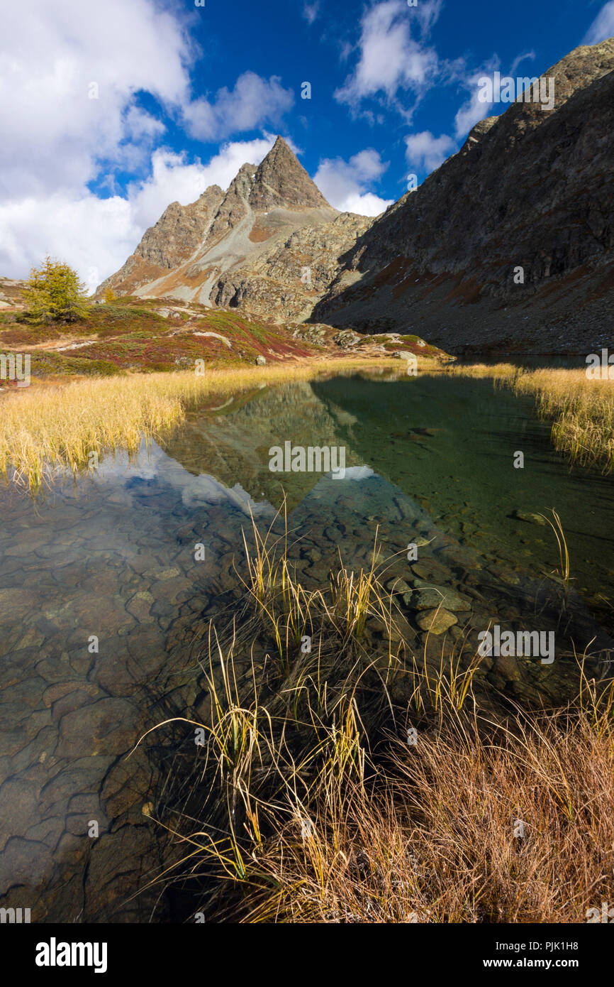 Autumn at 2300 meters above sea level at the Crap Alv Laiets on the Albula Pass, canton of Grisons, Switzerland Stock Photo
