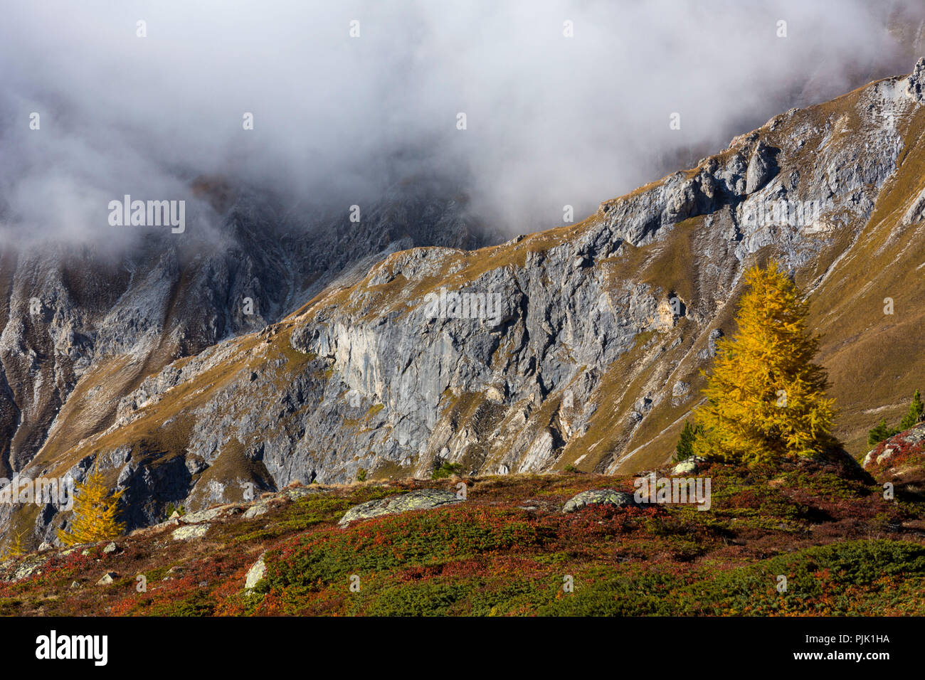Autumn at 2300 meters above sea level at the Crap Alv Laiets on the Albula Pass, canton of Grisons, Switzerland Stock Photo