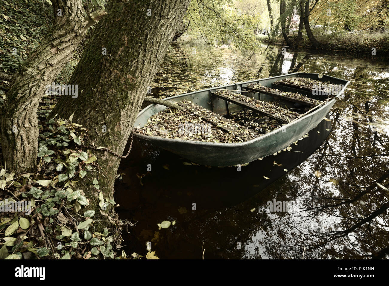 Autumn on the Ilm River, old boat full of foliage, Buchfart, Thuringia, Germany Stock Photo